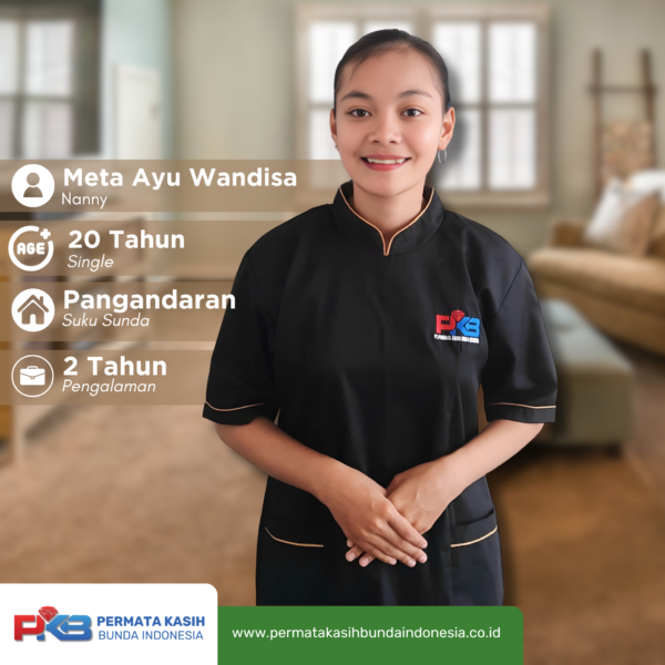 Meta Ayu Wandisa
